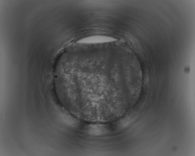 X0000092290367200710121439