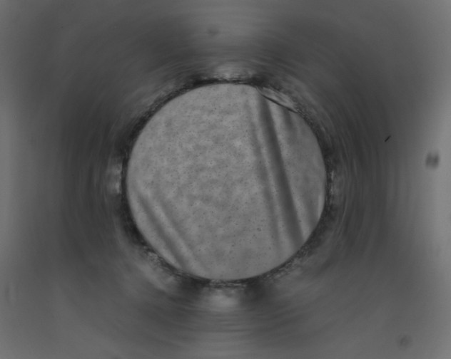 X0000092290368200710121439