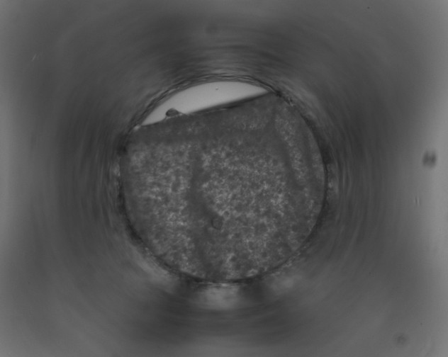 X0000092290369200710121439