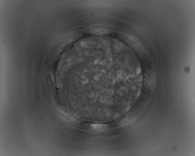 X0000092290371200710121439