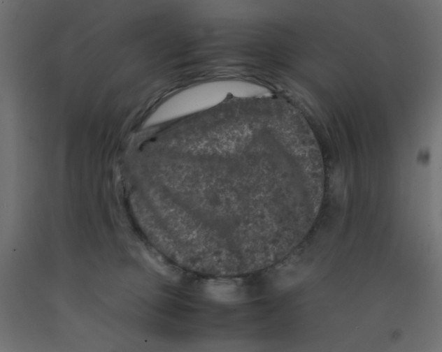 X0000092290373200710121439