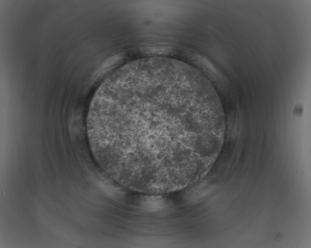 X0000092290377200710121439