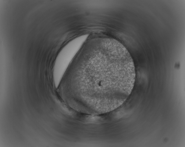 X0000092290379200710121439