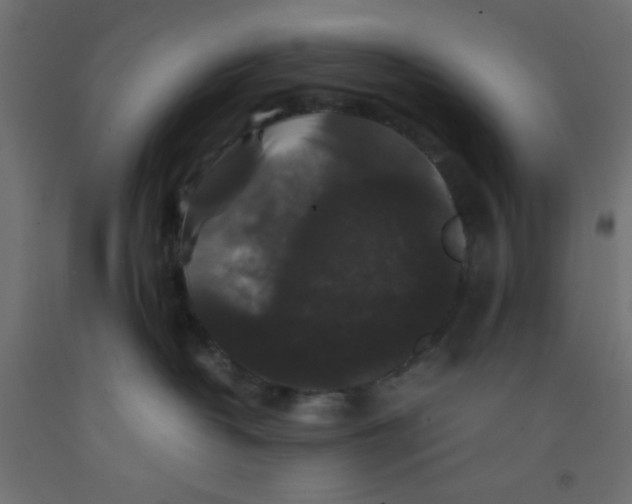 X0000092290382200710121439