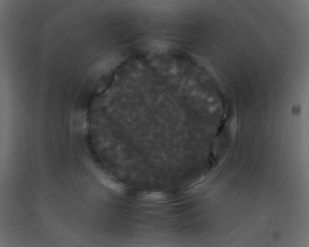 X0000092290383200710121439