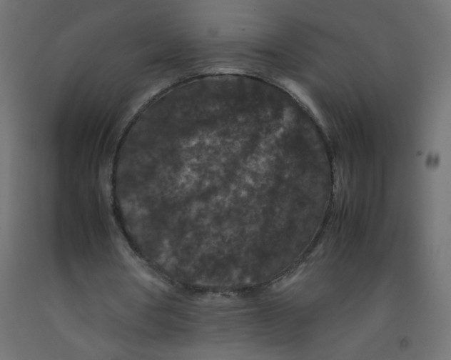 X0000092290386200710121438