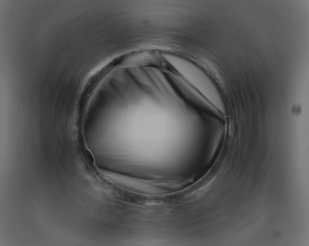 X0000092290388200710121438