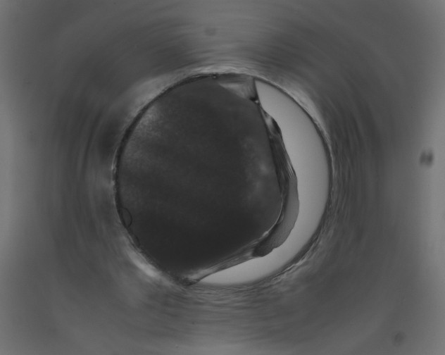 X0000092290389200710121438