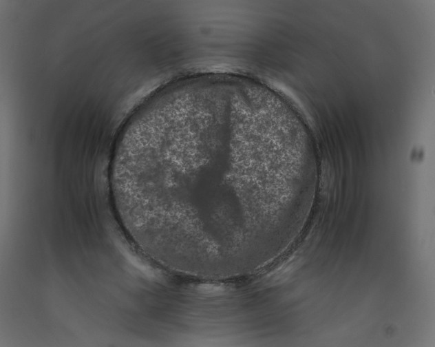 X0000092290394200710121438