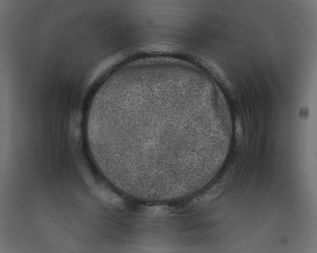 X0000092290396200710121438