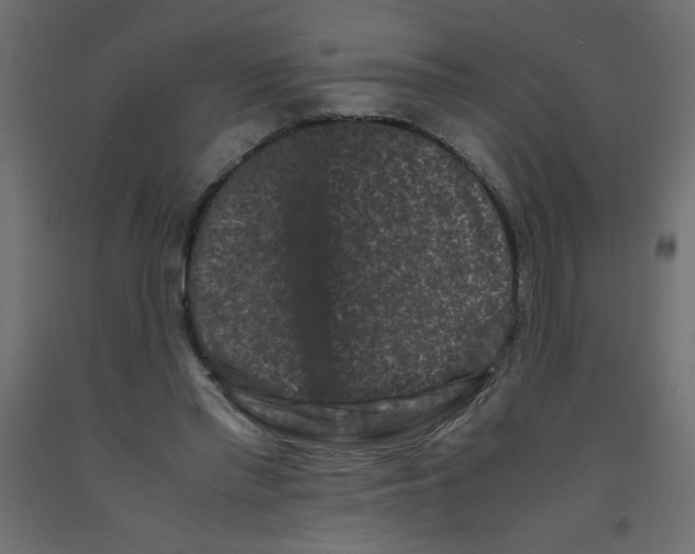 X0000092290397200710121438