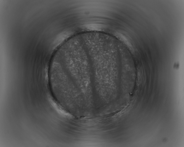 X0000092290398200710121438