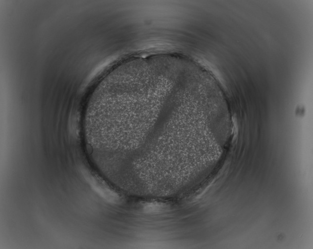 X0000092290400200710121438