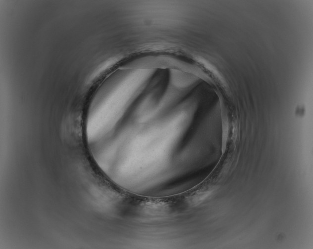 X0000092290403200710121438