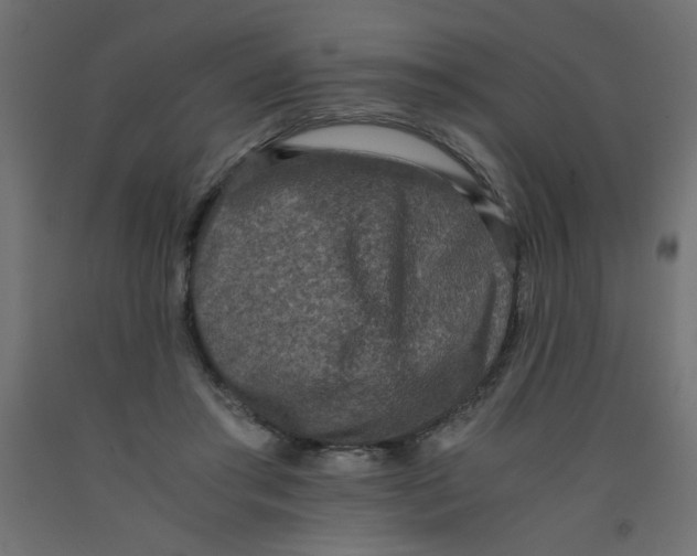 X0000092290405200710121438