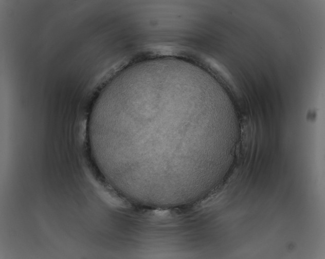 X0000092290406200710121438