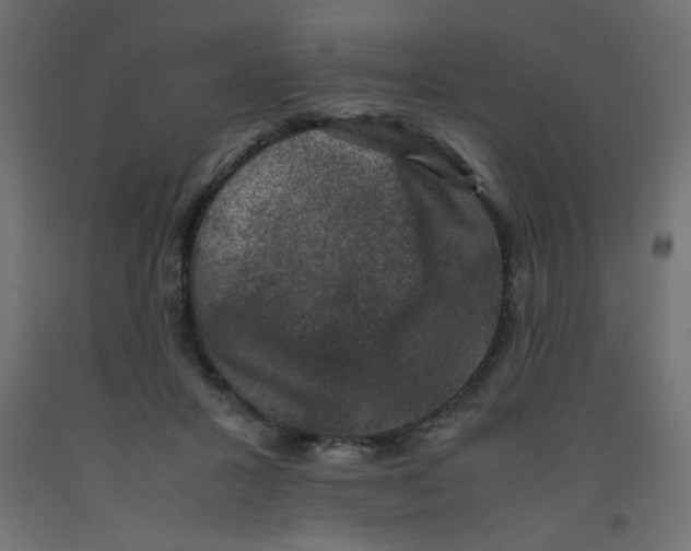 X0000092290407200710121438