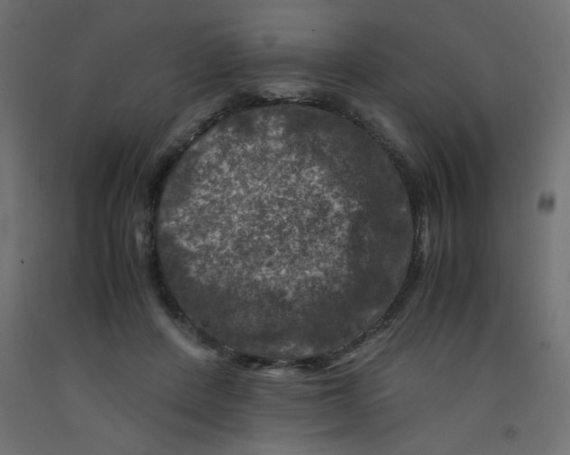 X0000092290408200710121438