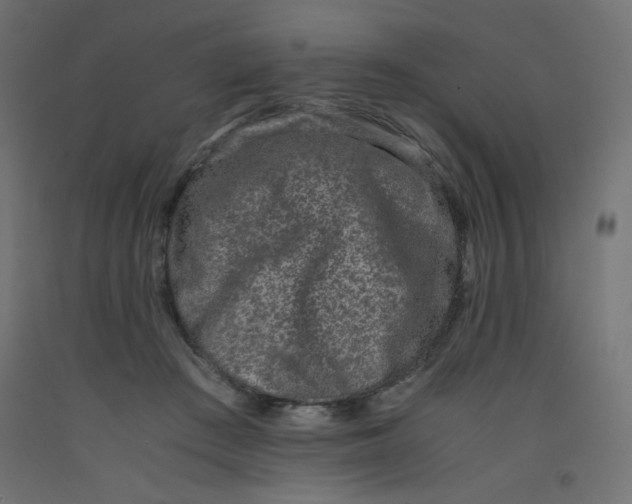 X0000092290409200710121438