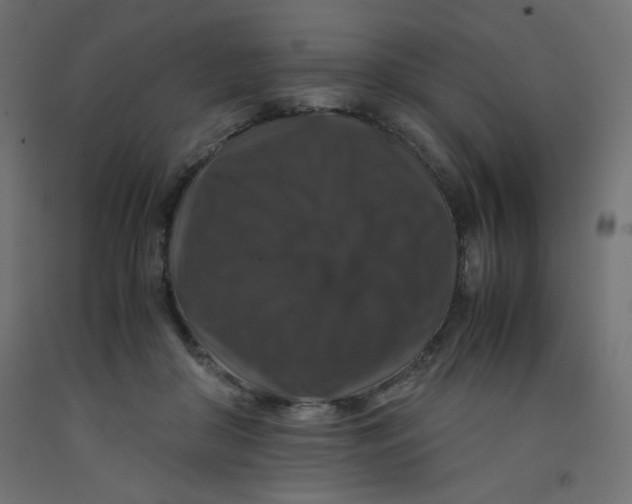 X0000092290410200710121438