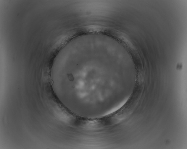 X0000092290411200710121438