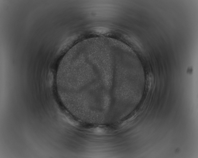 X0000092290412200710121438