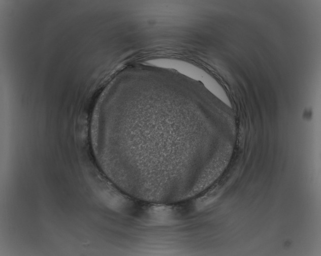 X0000092290413200710121438