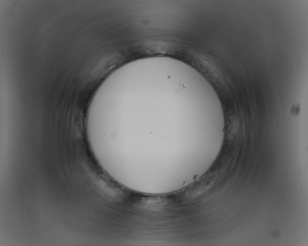 X0000092290414200710121438