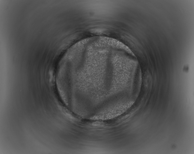 X0000092290420200710121438