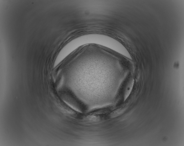 X0000092290421200710121438