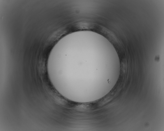 X0000092290422200710121437