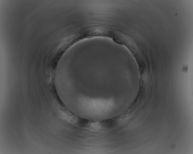 X0000092290423200710121437