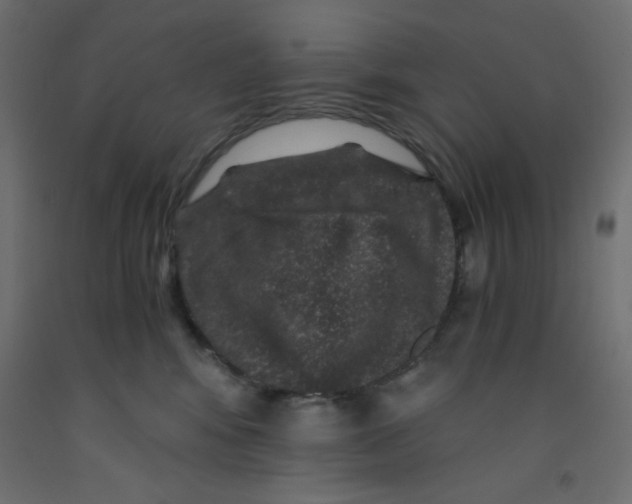 X0000092290424200710121437