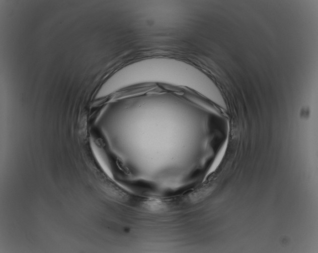 X0000092290425200710121437