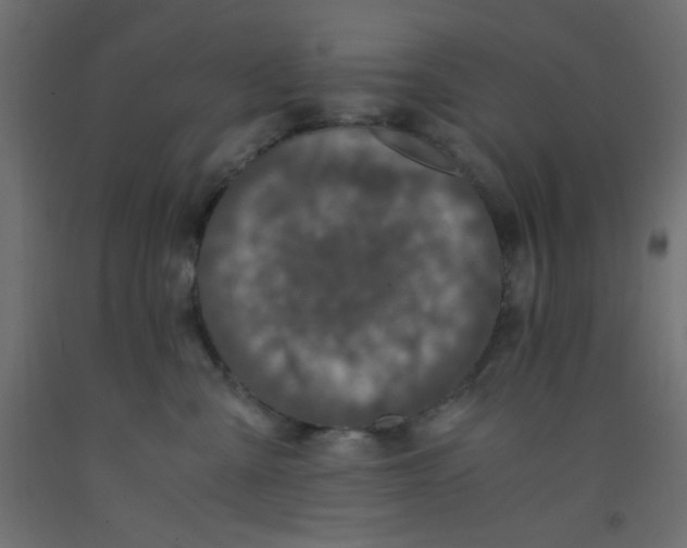 X0000092290427200710121437