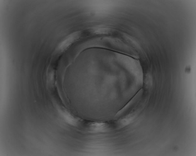 X0000092290428200710121437