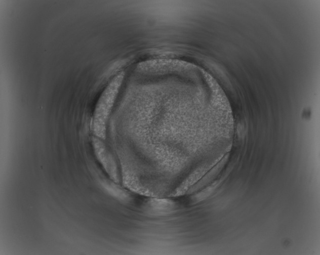 X0000092290429200710121437