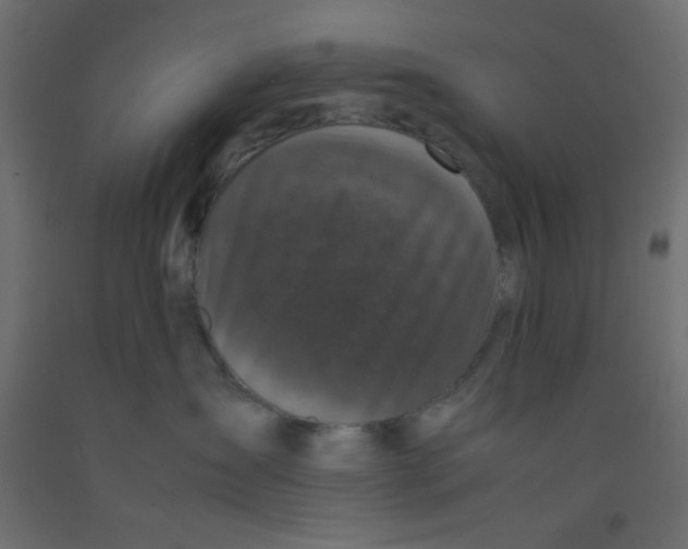 X0000092290431200710121437