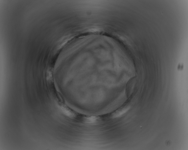 X0000092290432200710121437