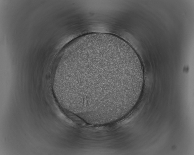 X0000092290433200710121437