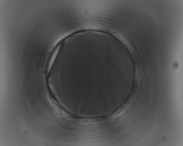 X0000092290434200710121437