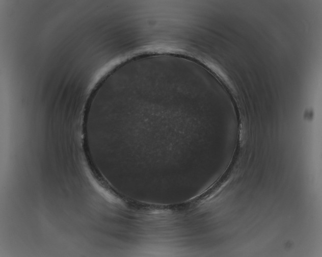 X0000092290438200710121437