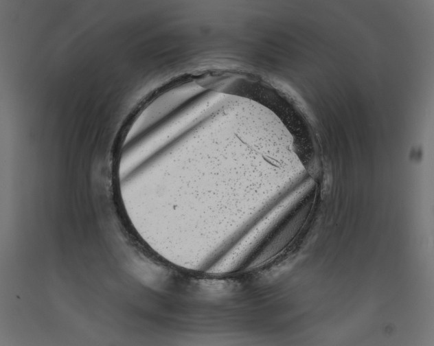 X0000092290439200710121437