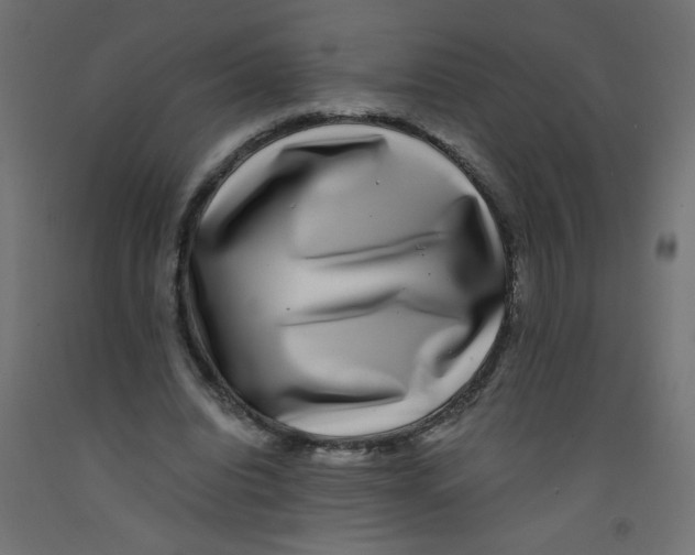 X0000092290440200710121437