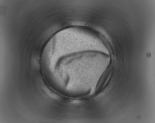 X0000092290441200710121437