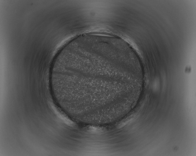 X0000092290442200710121437