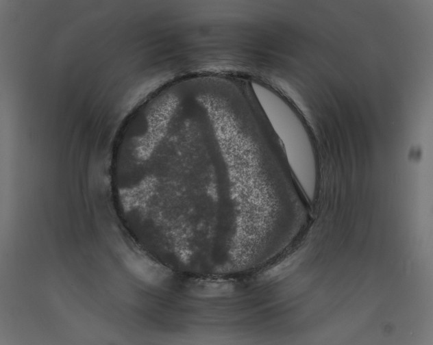 X0000092290443200710121437