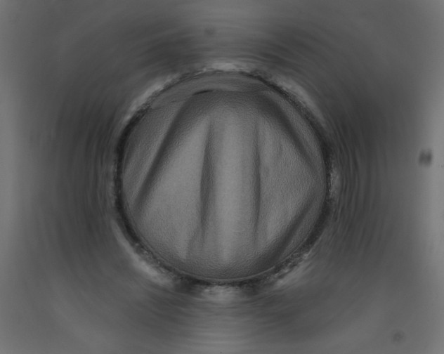 X0000092290444200710121437