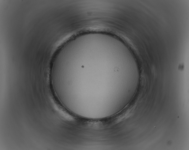 X0000092290446200710121437