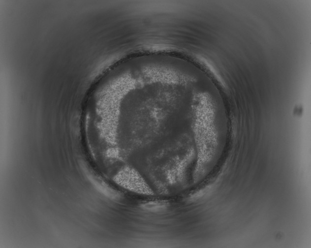 X0000092290447200710121437